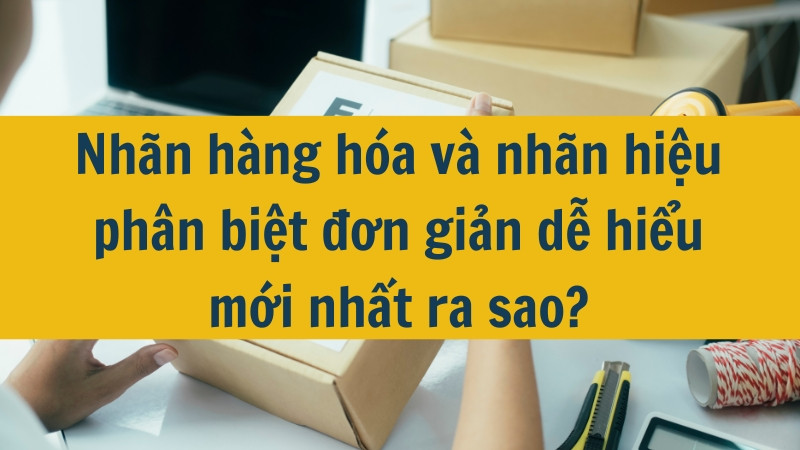 Nh&atilde;n h&agrave;ng h&oacute;a v&agrave; nh&atilde;n hiệu ph&acirc;n biệt đơn giản dễ hiểu mới nhất ra sao?