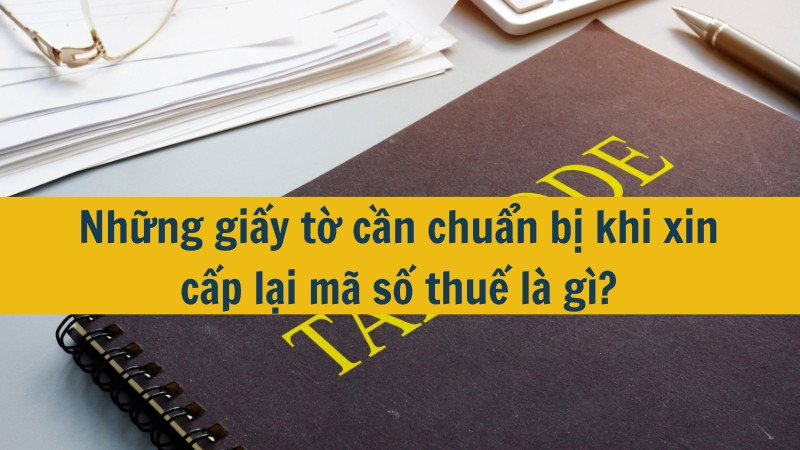 Mã số thuế là một trong những yếu tố quan trọng để doanh nghiệp hoạt động hợp pháp. Tuy nhiên, trong quá trình kinh doanh, có thể xảy ra trường hợp mã số thuế bị mất hoặc cần phải cấp lại. Để thực hiện thủ tục này, doanh nghiệp cần chuẩn bị những giấy tờ gì? Bài viết này sẽ giúp bạn giải đáp thắc mắc đó.