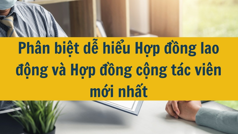 Ph&acirc;n biệt dễ hiểu Hợp đồng lao động v&agrave; Hợp đồng cộng t&aacute;c vi&ecirc;n mới nhất