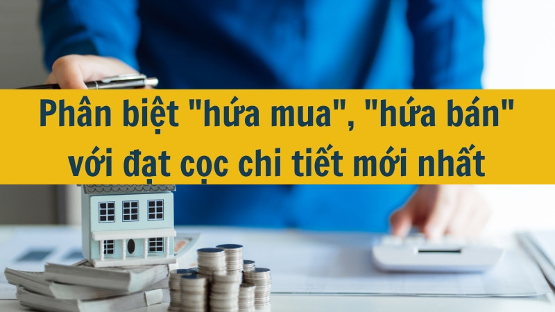 Ph&acirc;n biệt "hứa mua", "hứa b&aacute;n" với đặt cọc chi tiết mới nhất 