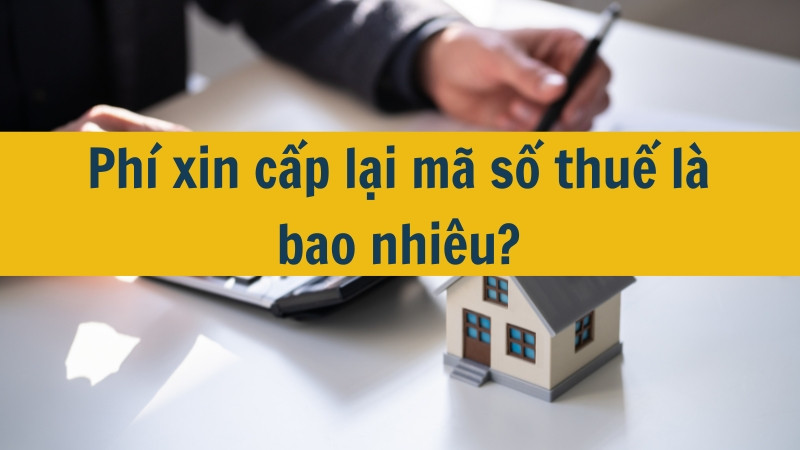 Phí xin cấp lại mã số thuế là bao nhiêu?