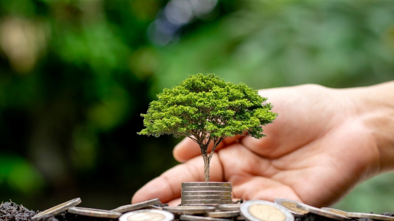Quy định về quan trắc m&ocirc;i trường mới nhất