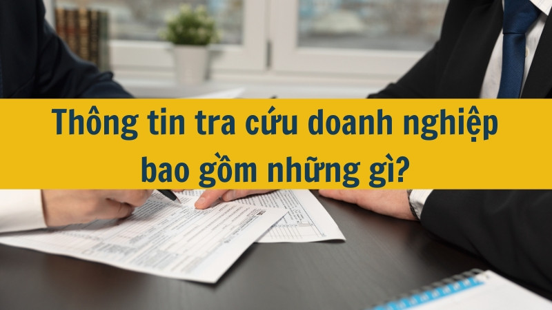 Thông tin tra cứu doanh nghiệp bao gồm những gì?