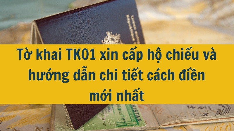 Tờ khai TK01 xin cấp hộ chiếu và hướng dẫn chi tiết cách điền mới nhất