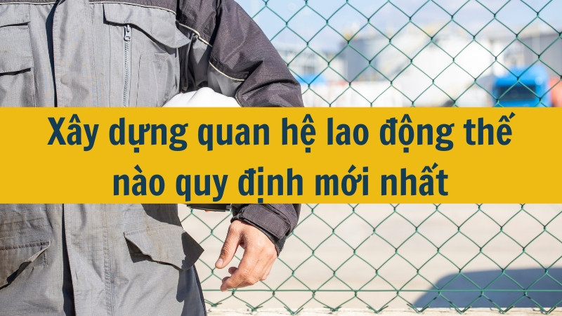 X&acirc;y dựng quan hệ lao động thế n&agrave;o quy định mới nhất