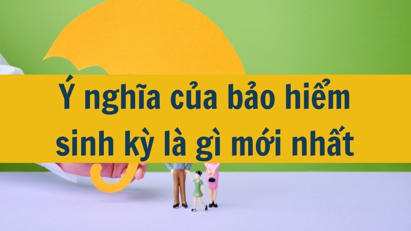 &Yacute; nghĩa của bảo hiểm sinh kỳ l&agrave; g&igrave; mới nhất