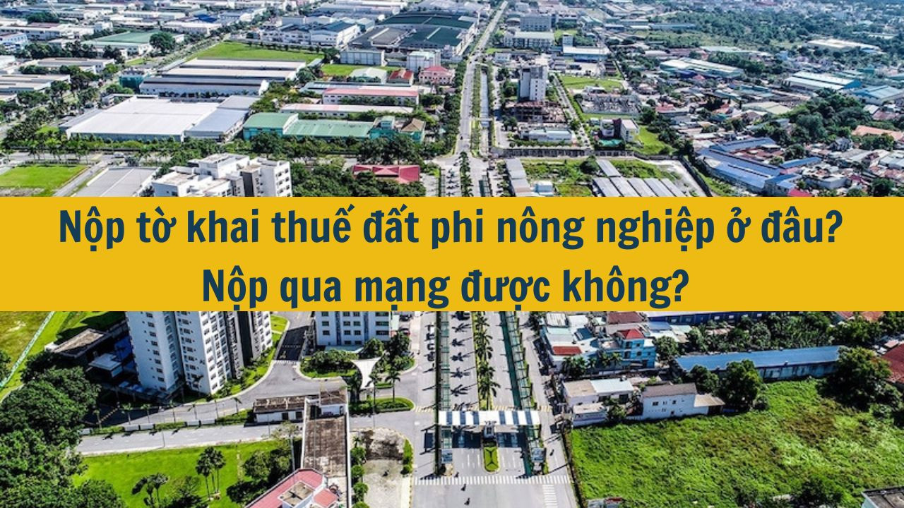 Nộp tờ khai thuế đất phi n&ocirc;ng nghiệp ở đ&acirc;u? Nộp qua mạng được kh&ocirc;ng?  (ảnh 1)