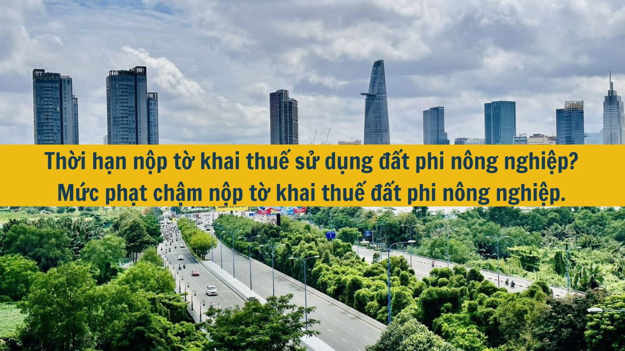 Thời hạn nộp tờ khai thuế sử dụng đất phi n&ocirc;ng nghiệp? Mức phạt chậm nộp tờ khai thuế đất phi n&ocirc;ng nghiệp. (ảnh 1)