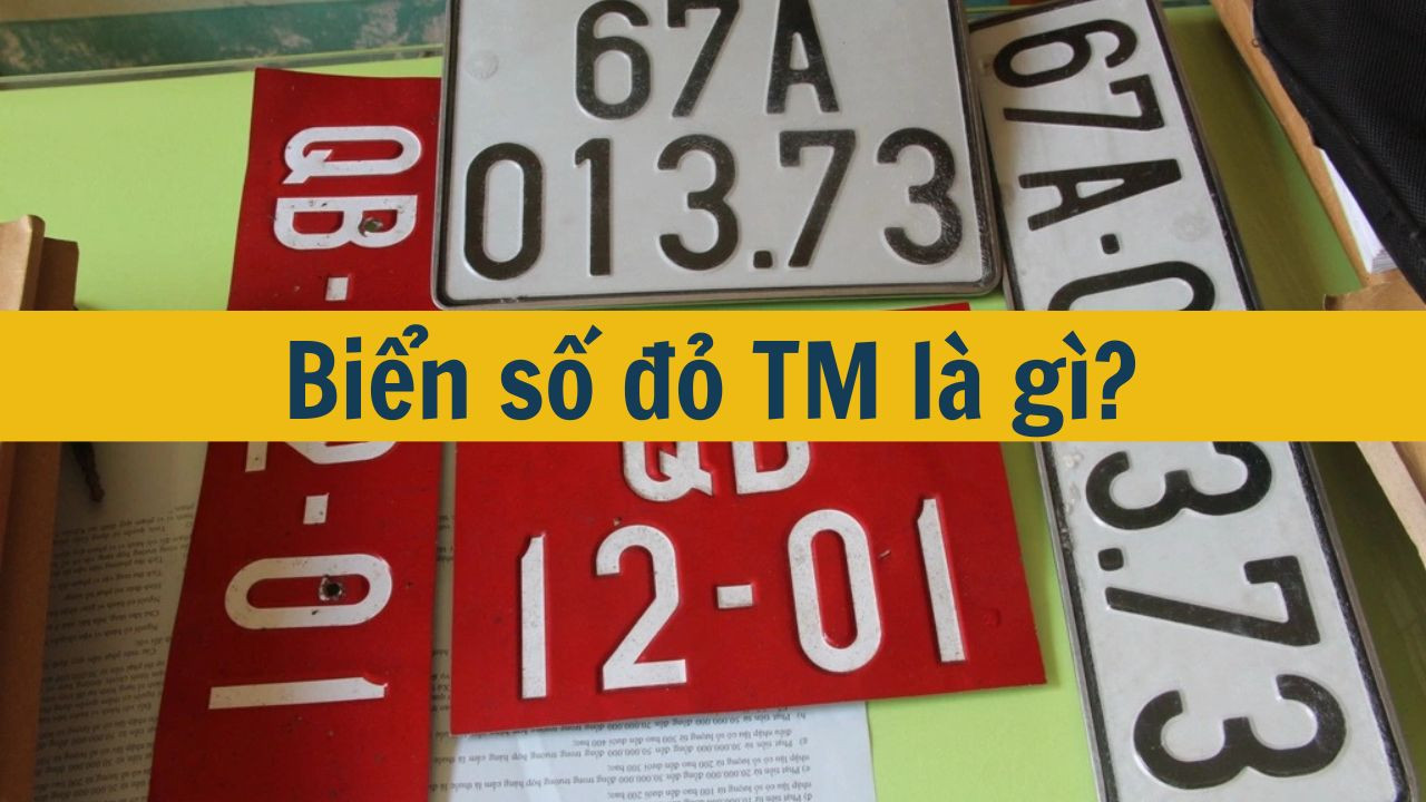 Biển số đỏ TM l&agrave; g&igrave;? (ảnh 1)
