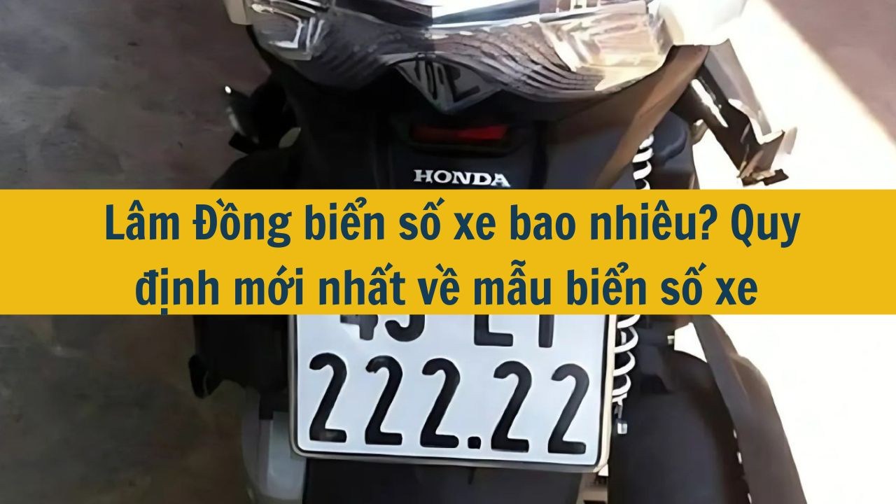 L&acirc;m Đồng biển số xe bao nhi&ecirc;u? Quy định mới nhất 2025 về mẫu biển số xe (ảnh 1)