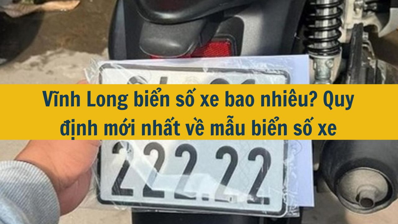 Vĩnh Long biển số xe bao nhiêu? Quy định mới nhất 2025 về mẫu biển số xe (ảnh 1)