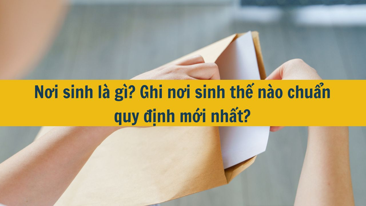 Nơi sinh l&agrave; g&igrave;? Ghi nơi sinh thế n&agrave;o chuẩn quy định mới nhất 2025? (ảnh 1)