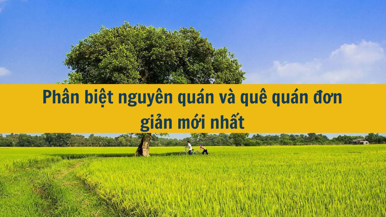 Ph&acirc;n biệt nguy&ecirc;n qu&aacute;n v&agrave; qu&ecirc; qu&aacute;n đơn giản mới nhất 2025 (ảnh 1)