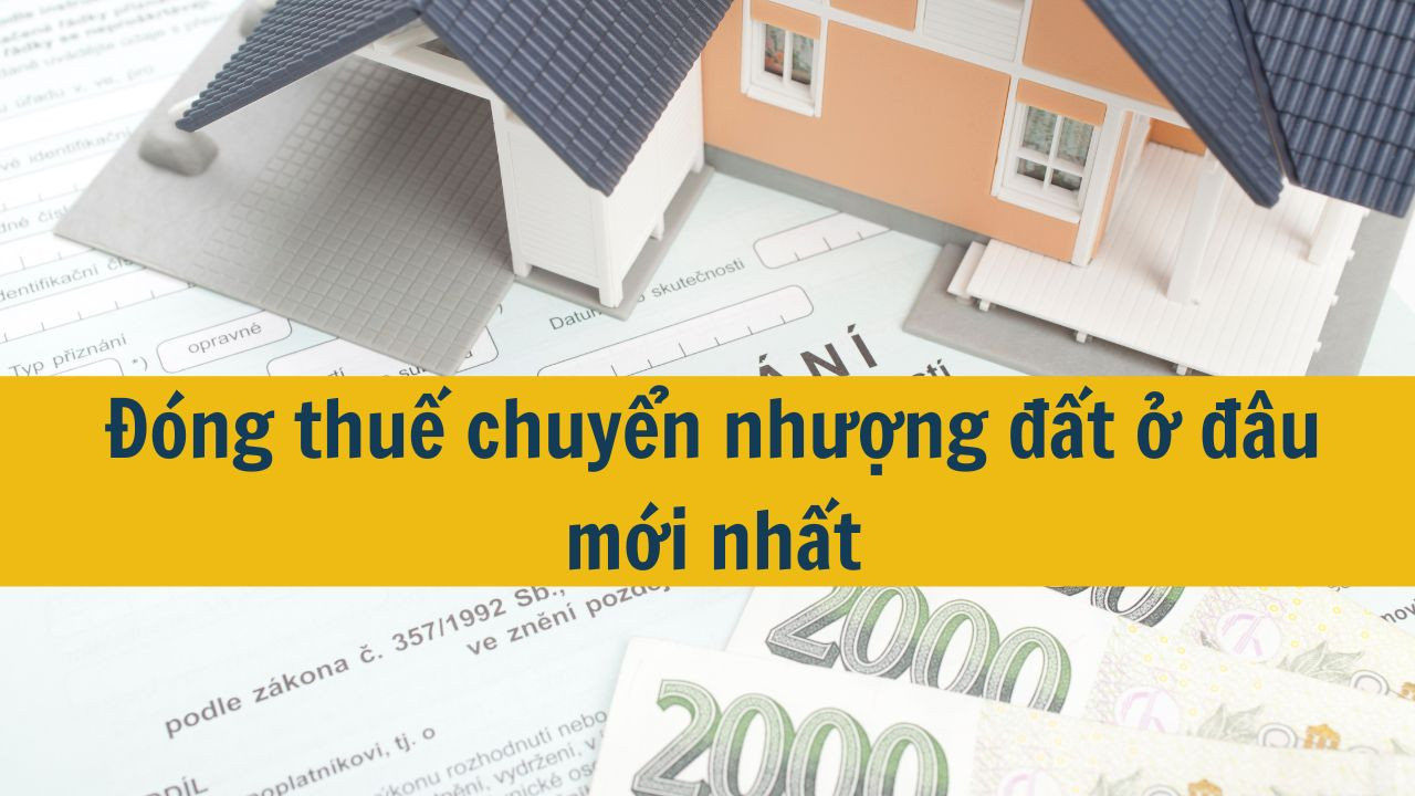 Đ&oacute;ng thuế chuyển nhượng đất ở đ&acirc;u mới nhất 2025