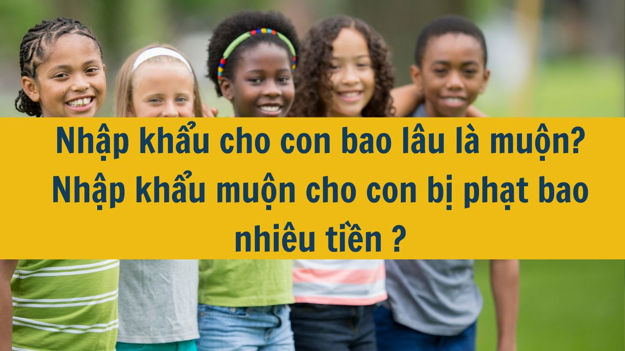 Nhập khẩu muộn cho con bị phạt bao nhi&ecirc;u tiền?
