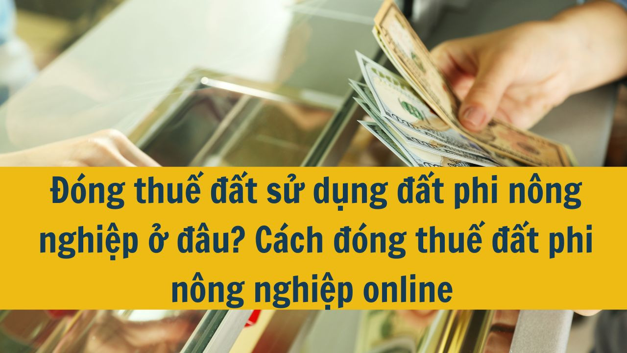Đ&oacute;ng thuế đất sử dụng đất phi n&ocirc;ng nghiệp ở đ&acirc;u? C&aacute;ch đ&oacute;ng thuế đất phi n&ocirc;ng nghiệp online 2025