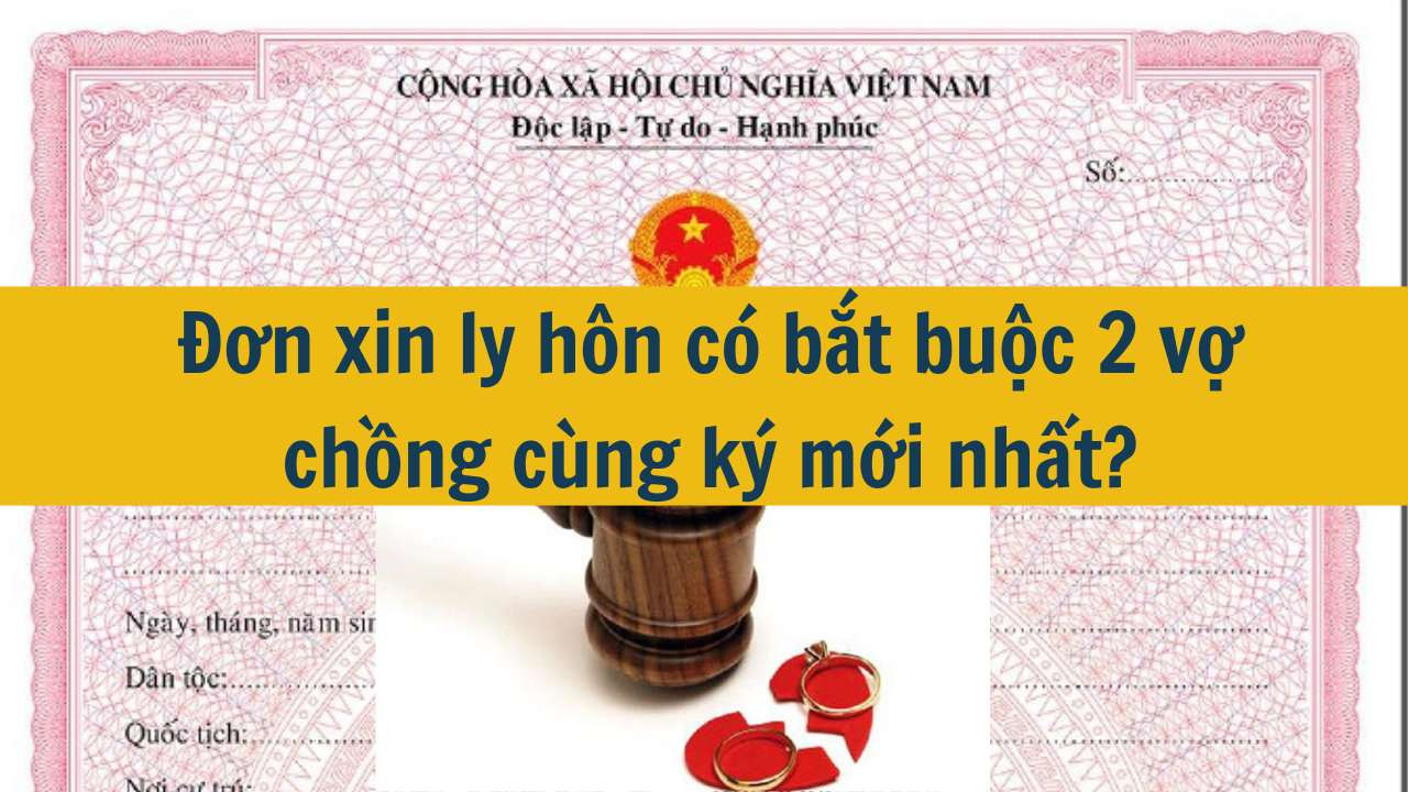 Đơn xin ly h&ocirc;n c&oacute; bắt buộc 2 vợ chồng c&ugrave;ng k&yacute; mới nhất 2025?