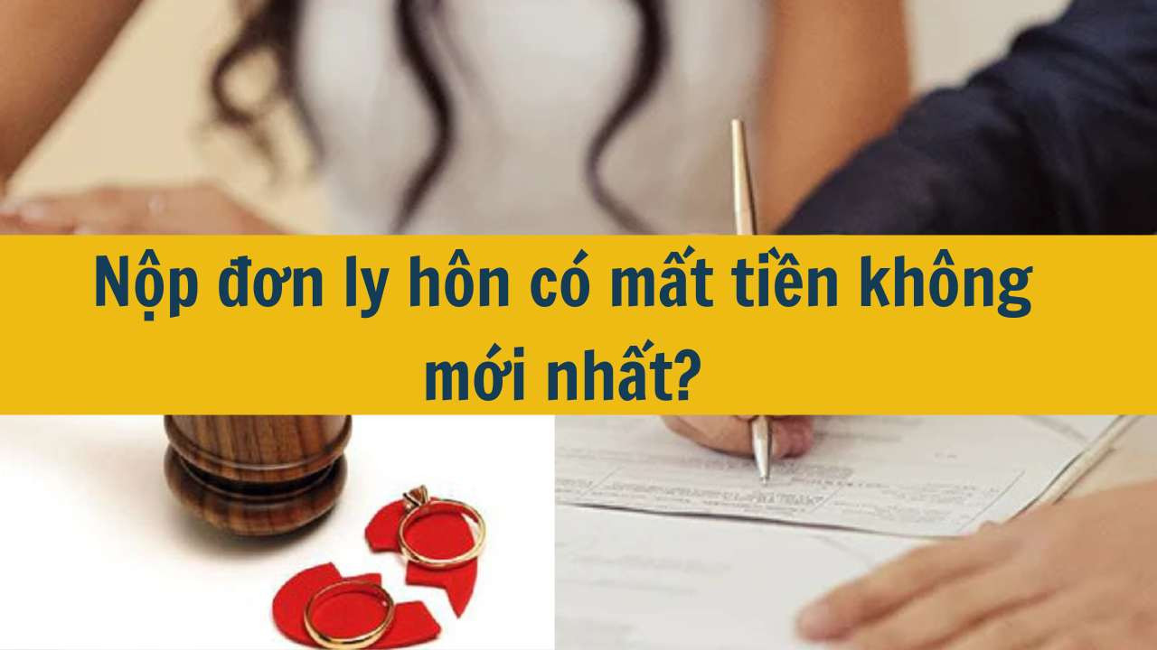 Nộp đơn ly h&ocirc;n c&oacute; mất tiền kh&ocirc;ng mới nhất 2025?