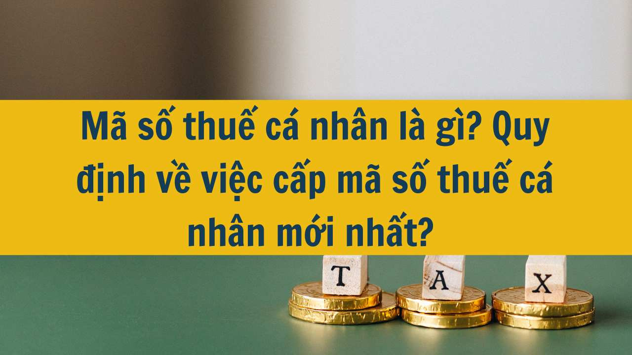 Mã số thuế cá nhân là gì? Quy định về việc cấp mã số thuế cá nhân mới nhất 2025?