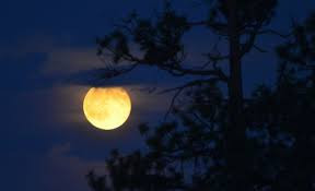 Giỏi Văn - Bài văn: Làm rõ nhận định: Trong bài thơ “Ngắm trăng” có một thế  giới trăng đầy lãng mạn