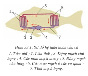 Tài liệu VietJack