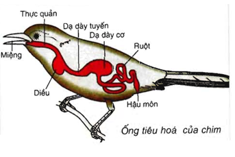 Tài liệu VietJack