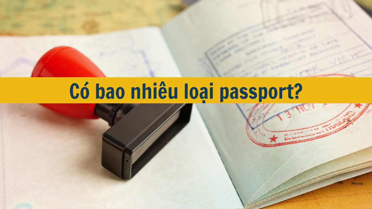 Có bao nhiêu loại passport mới nhất 2025?