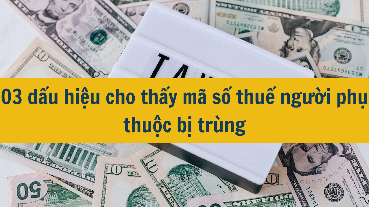 03 dấu hiệu cho thấy mã số thuế người phụ thuộc bị trùng mới nhất 2025