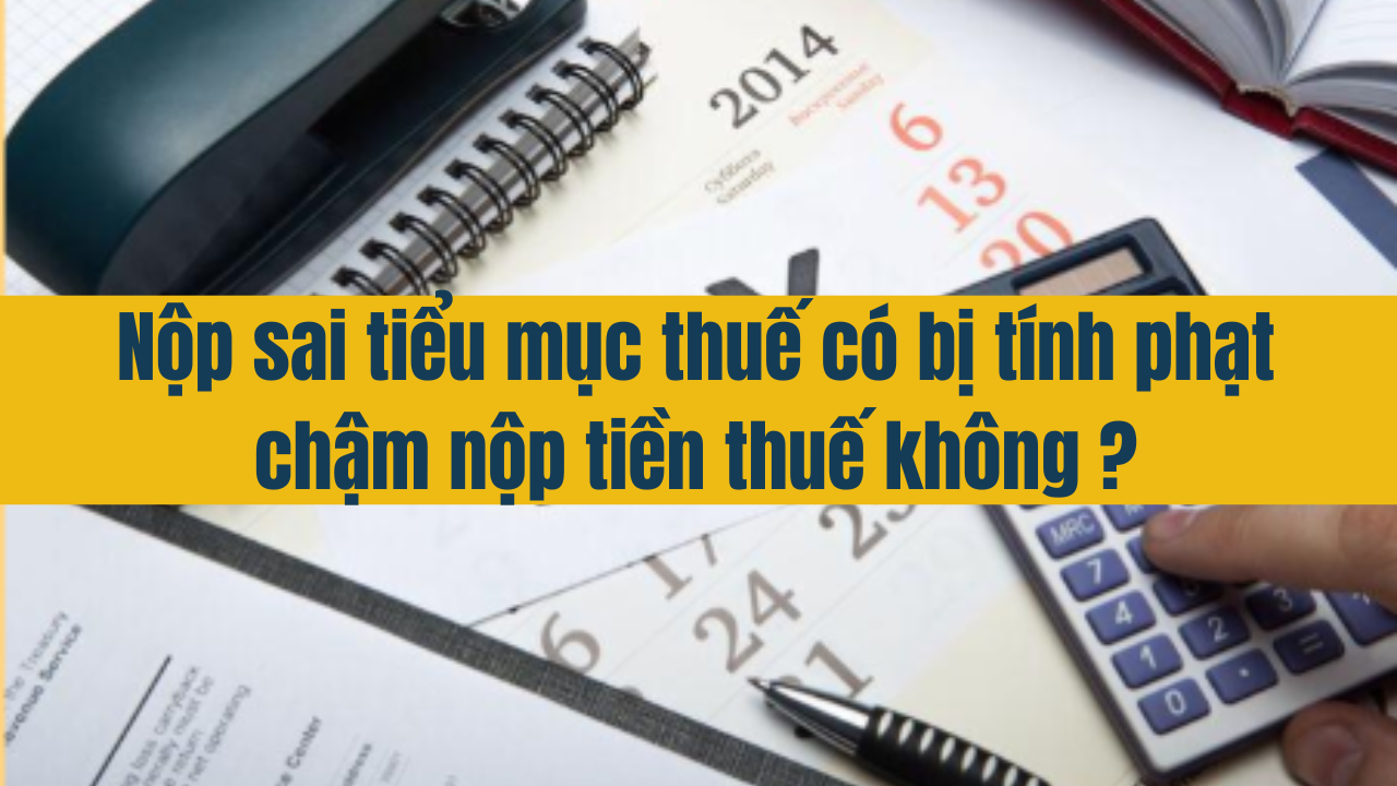 Nộp sai tiểu mục thuế có bị tính phạt chậm nộp tiền thuế không? 