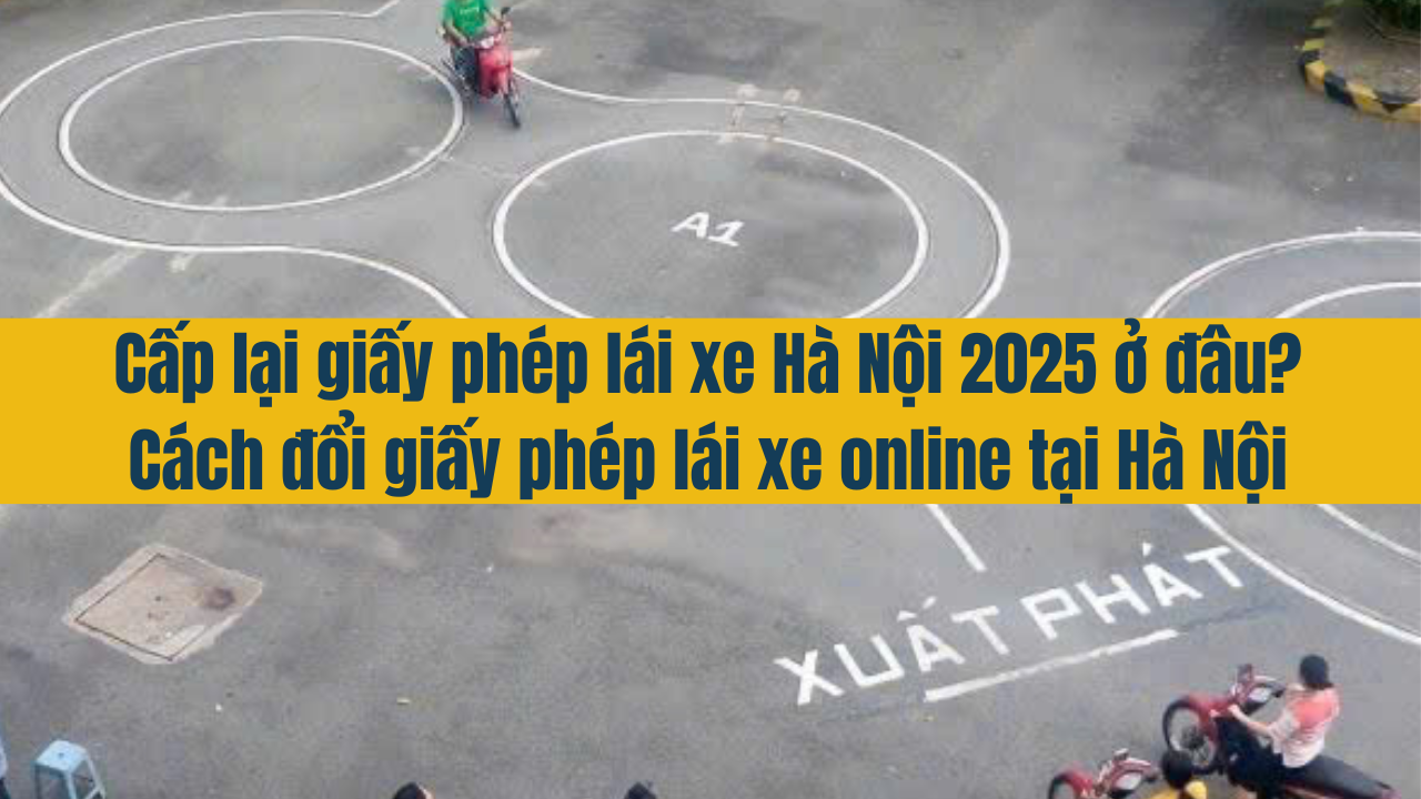 Cấp lại giấy phép lái xe Hà Nội 2025 ở đâu? Cách đổi giấy phép lái xe online tại Hà Nội?