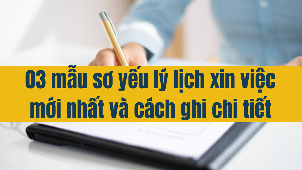 03 mẫu sơ yếu lý lịch xin việc mới nhất 2025 và cách ghi chi tiết