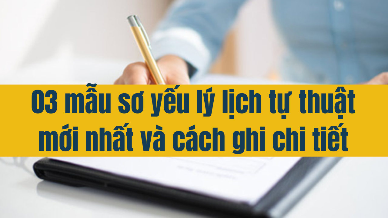 03 mẫu sơ yếu lý lịch tự thuật mới nhất 2025 và cách ghi chi tiết