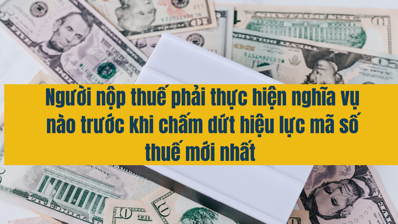 Người nộp thuế phải thực hiện nghĩa vụ trước khi chấm dứt hiệu lực mã số thuế 2025