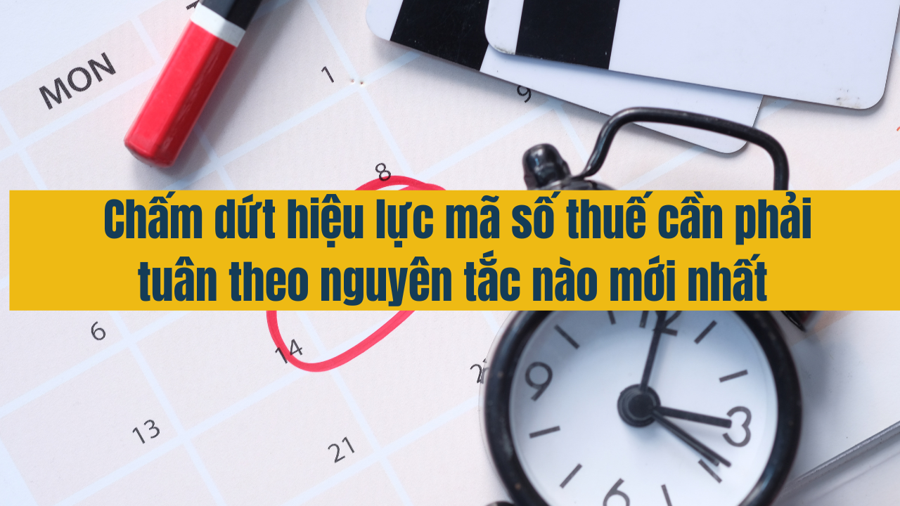 Chấm dứt hiệu lực mã số thuế phải tuân thủ theo những nguyên tắc nào mới nhất năm 2025 