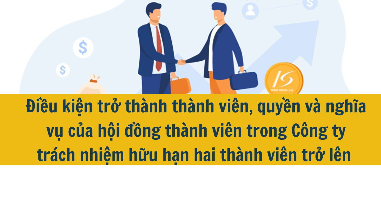 Điều kiện trở thành thành viên, quyền và nghĩa vụ của hội đồng thành viên trong Công ty trách nhiệm hữu hạn hai thành viên trở lên