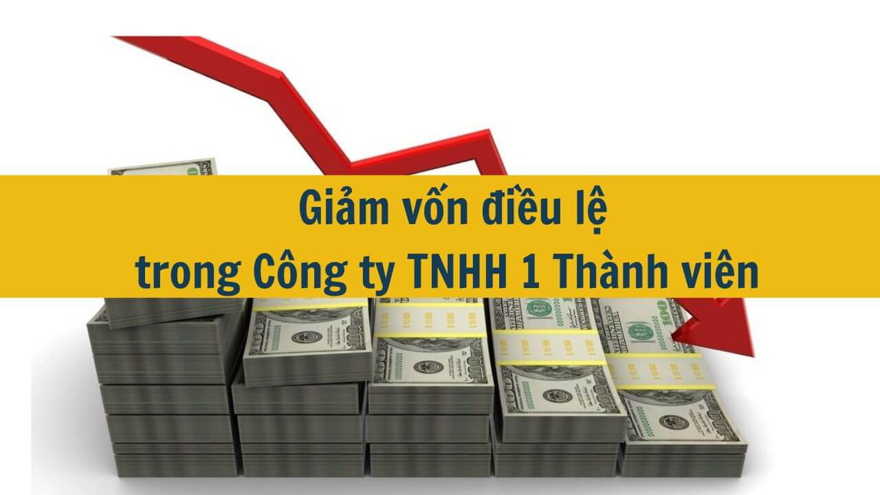 Giảm vốn điều lệ trong Công ty TNHH 1 Thành viên