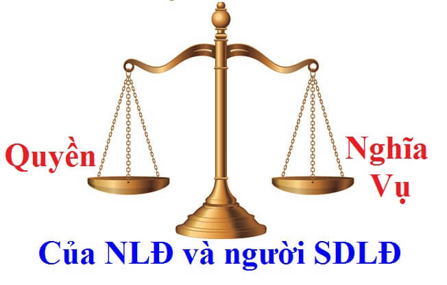 4.Mối quan hệ giữa Người lao động và Người sử dụng lao động là gì?