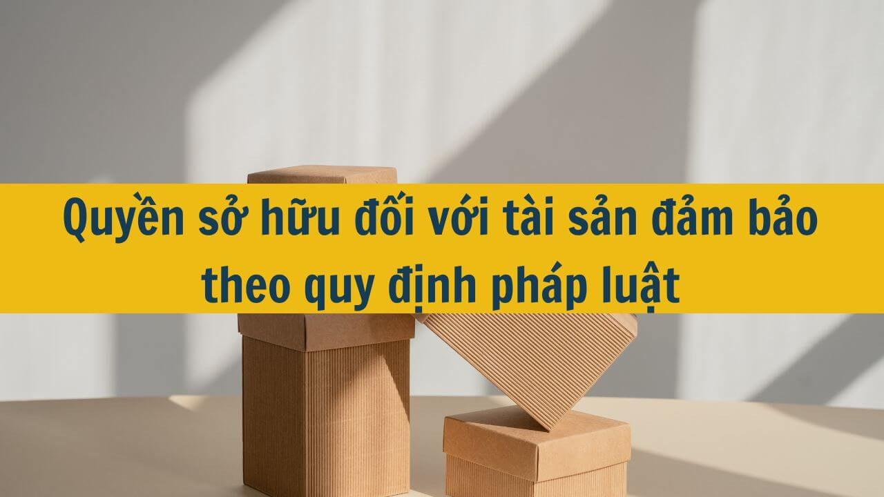 Quyền sở hữu đối với tài sản đảm bảo theo quy định pháp luật