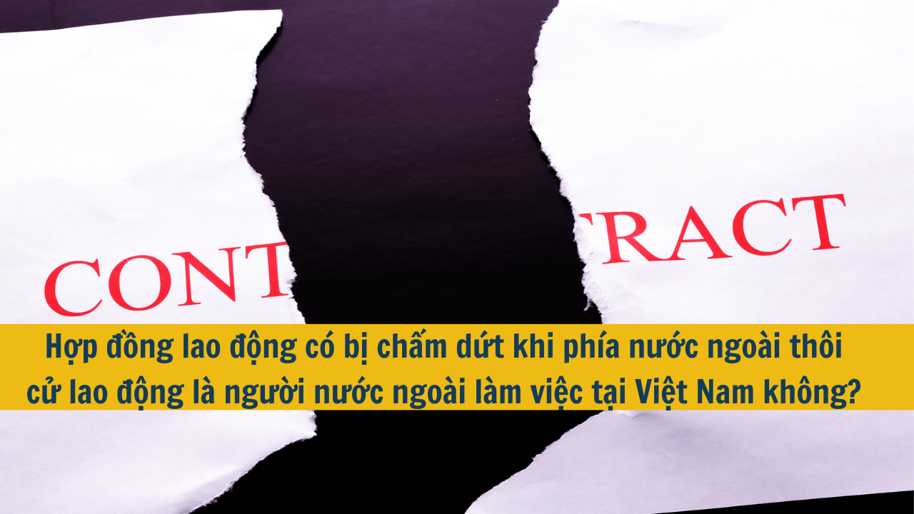 Hợp đồng lao động có bị chấm dứt khi phía nước ngoài thôi cử lao động là người nước ngoài làm việc tại Việt Nam không?