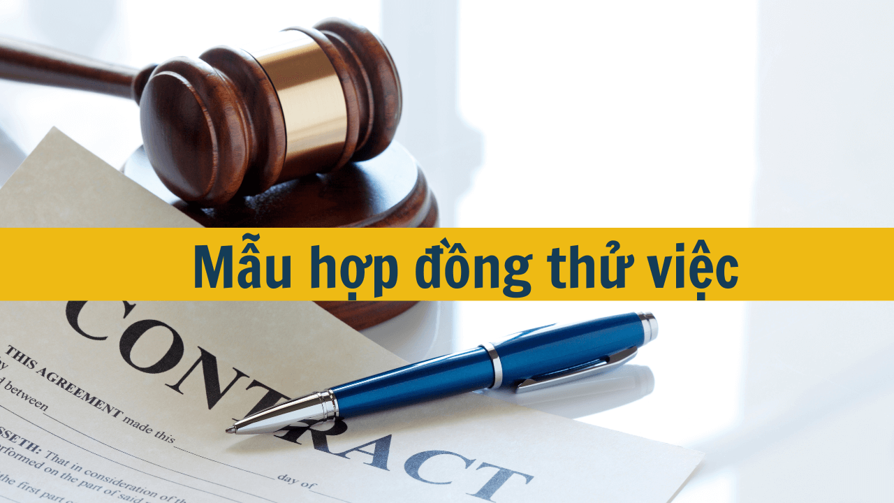 Mẫu hợp đồng thử việc