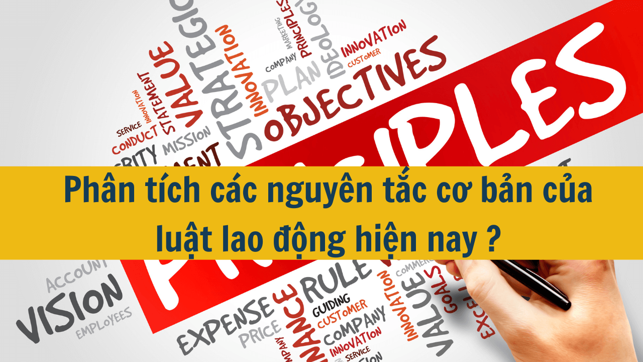 Phân tích các nguyên tắc cơ bản của luật lao động hiện nay ?