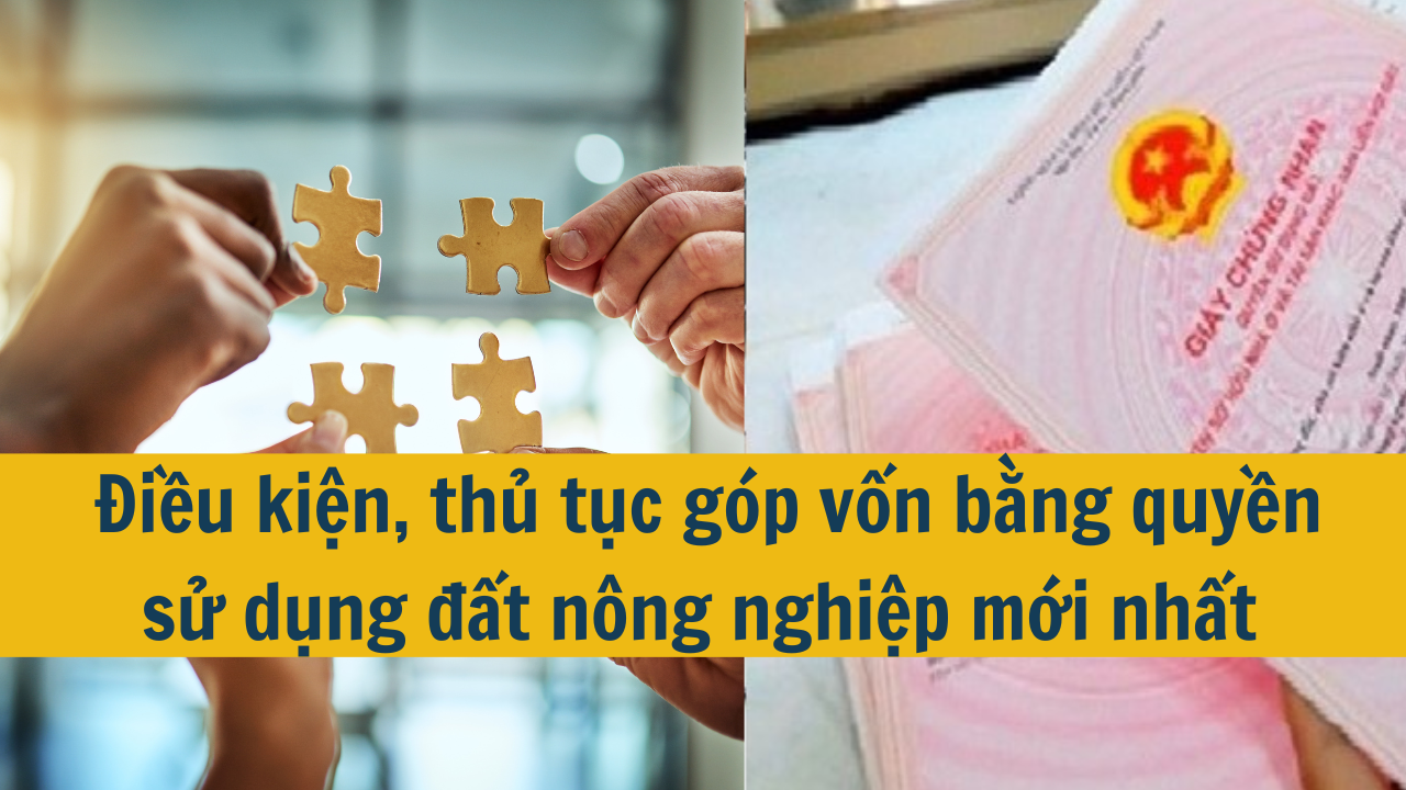 Điều kiện, thủ tục góp vốn bằng quyền sử dụng đất nông nghiệp mới nhất 2025