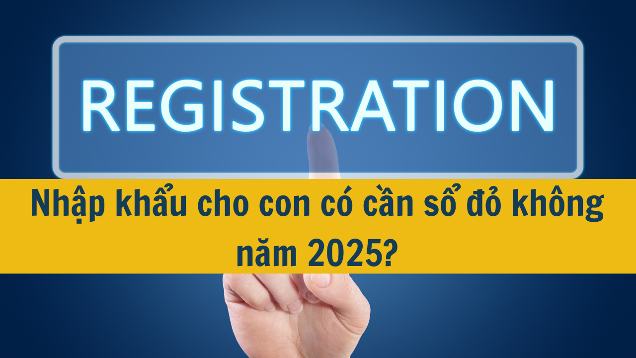 Nhập khẩu cho con có cần sổ đỏ không năm 2025?