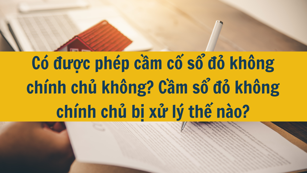 Có được phép cầm cố sổ đỏ không chính chủ không? Cầm sổ đỏ không chính chủ bị xử lý thế nào?