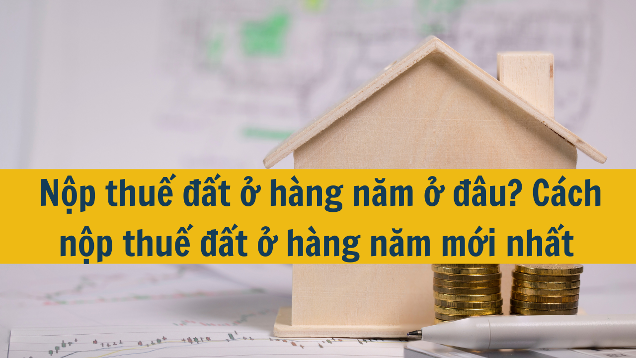 Nộp thuế đất ở hàng năm ở đâu? Cách nộp thuế đất ở hàng năm mới nhất 2025