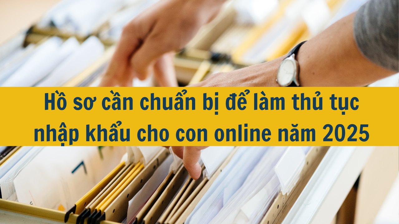 Hồ sơ cần chuẩn bị để làm thủ tục nhập khẩu cho con online năm 2025