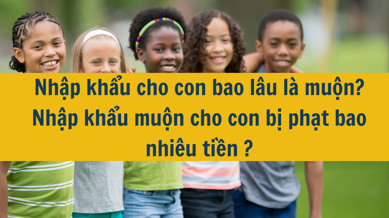 Nhập khẩu muộn cho con bị phạt bao nhiêu tiền?