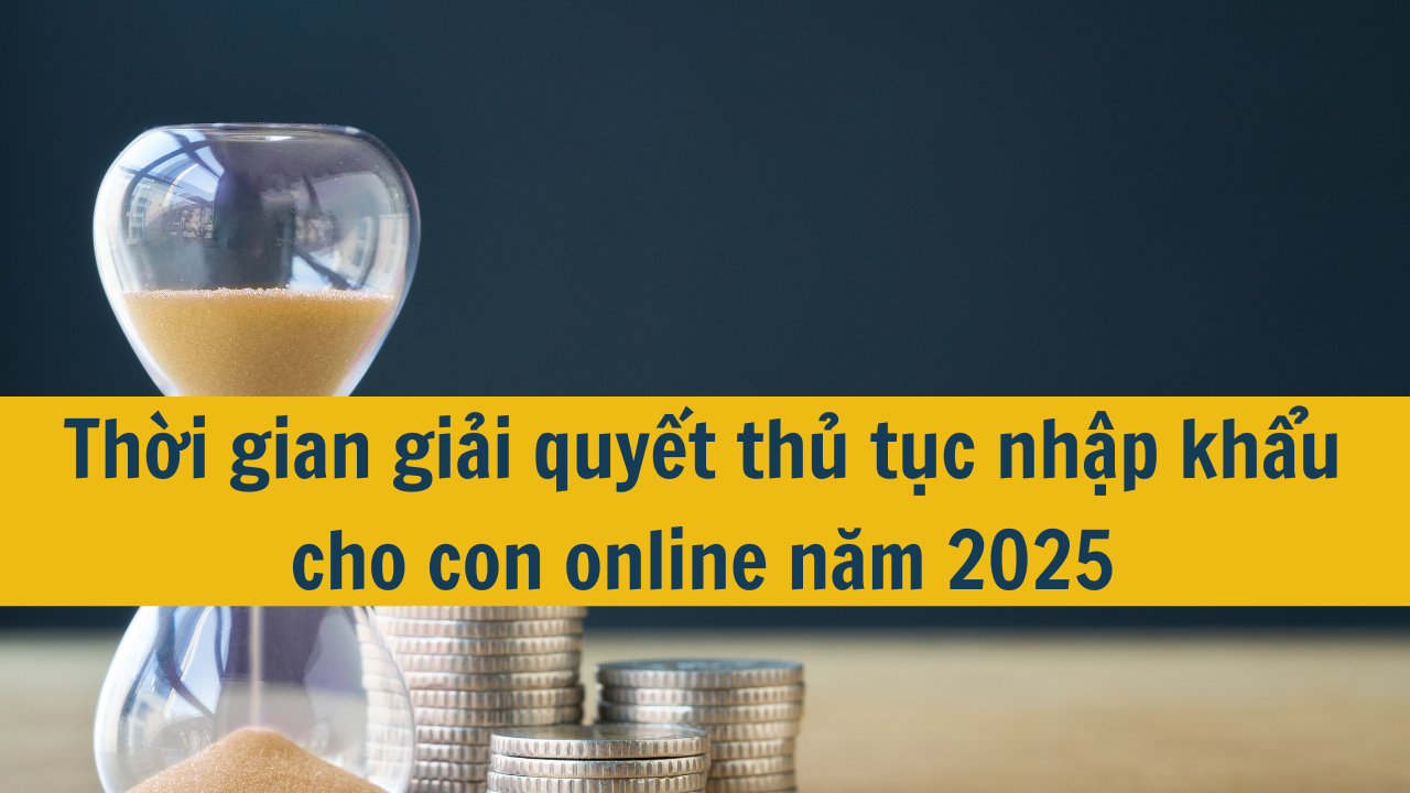 Thời gian giải quyết thủ tục nhập khẩu cho con online năm 2025