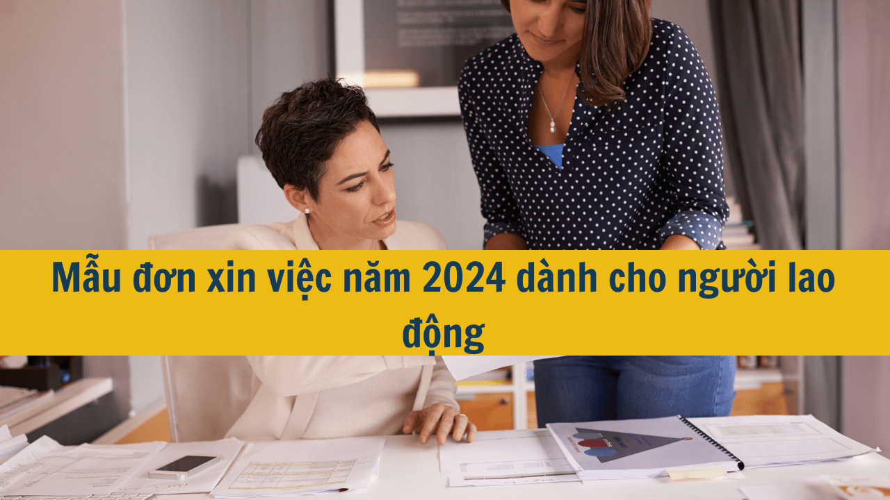 Mẫu đơn xin việc năm 2024 dành cho người lao động