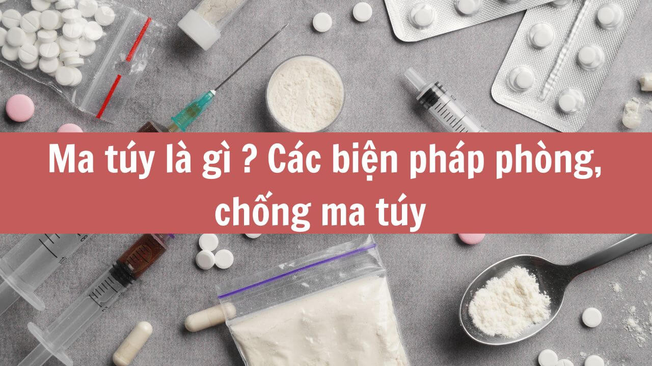 Ma túy là gì? Các biện pháp phòng, chống ma túy